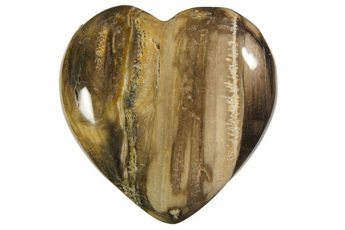 1.6" Polished Petrified Wood Hearts - Photo 1